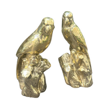 Load image into Gallery viewer, The Ave Loro Pair